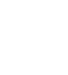 white vertical magic brush logo